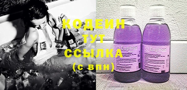 сатива Ельня