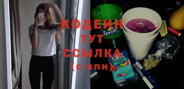сатива Ельня