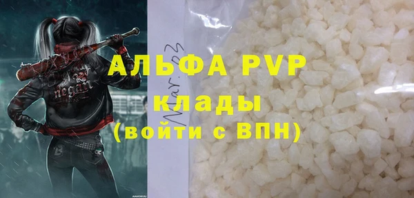 сатива Ельня