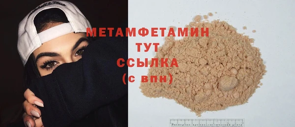 сатива Ельня