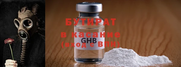 сатива Ельня