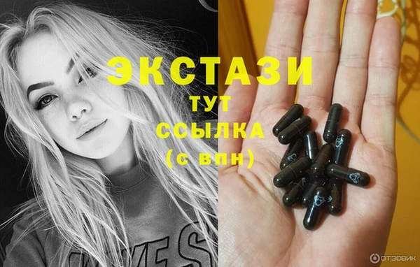сатива Ельня