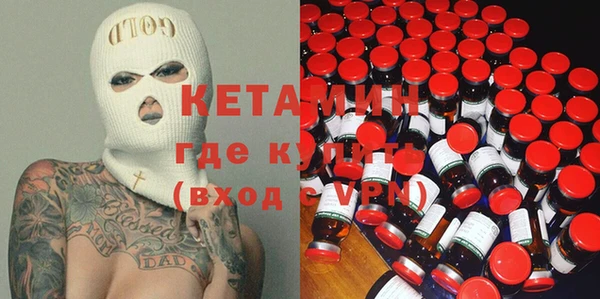 сатива Ельня
