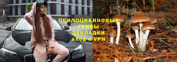 мескалин Елабуга