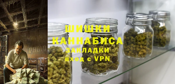 сатива Ельня