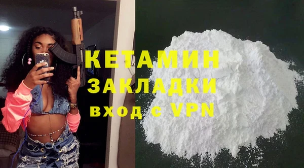 сатива Ельня