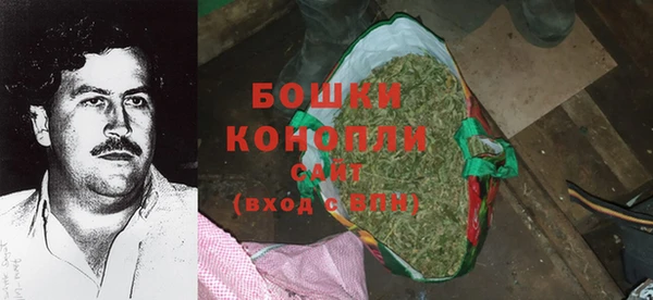 сатива Ельня