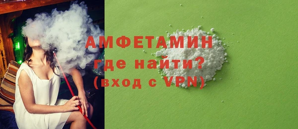 сатива Ельня